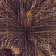 Illustration for article titled These Maps Reveal How Cities Will Erode Over Time